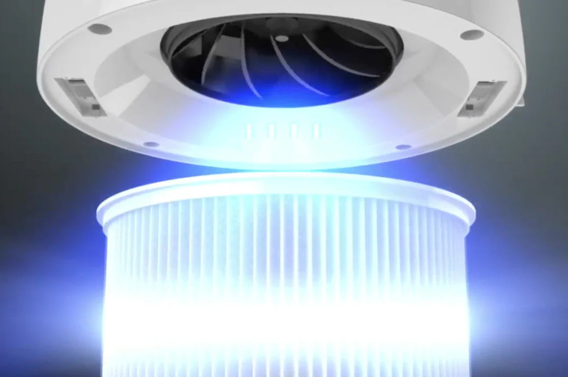 avari eg uv cleaning image
