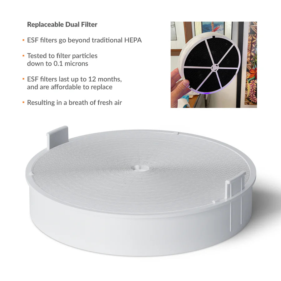 AV-QB replaceable dual filter