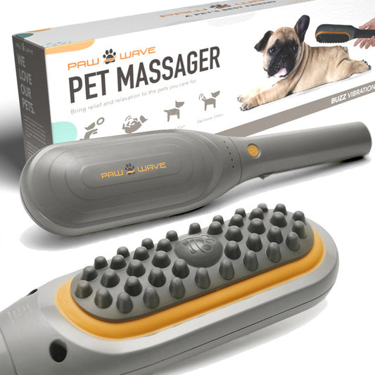 Paw Wave Buzz - Vibration Brush Massager