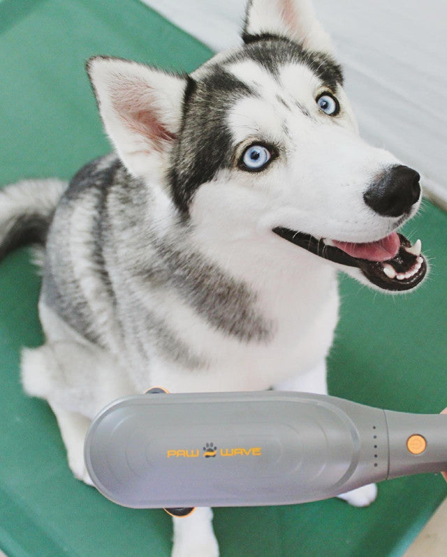 Paw Wave Perk - Percussion Therapy Pet Massager