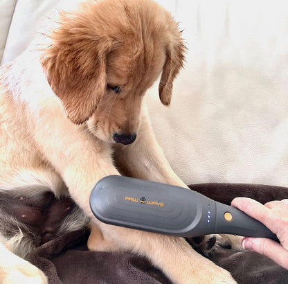 Paw Wave Buzz - Vibration Brush Massager