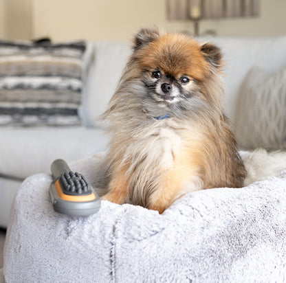 Paw Wave Buzz - Vibration Brush Massager