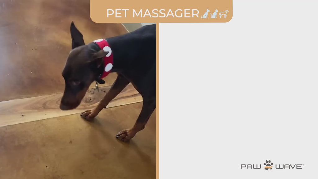 paw wave pet massager user video
