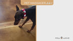 paw wave pet massager user video