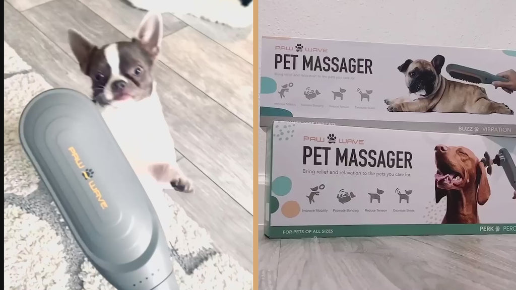 paw wave pet massager user video
